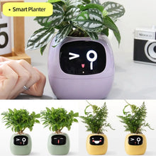 Load image into Gallery viewer, SmartLeaf™ - Smart Planter