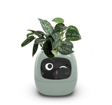 Load image into Gallery viewer, SmartLeaf™ - Smart Planter
